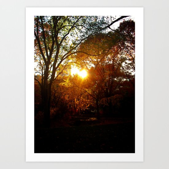 Autumn Sun - New York City Art Print