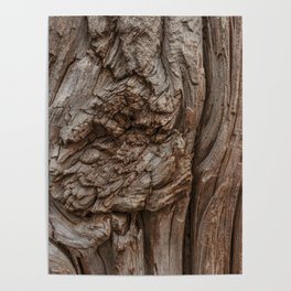Abstract Tree Trunk Wood Texture with Wood Knot Poster