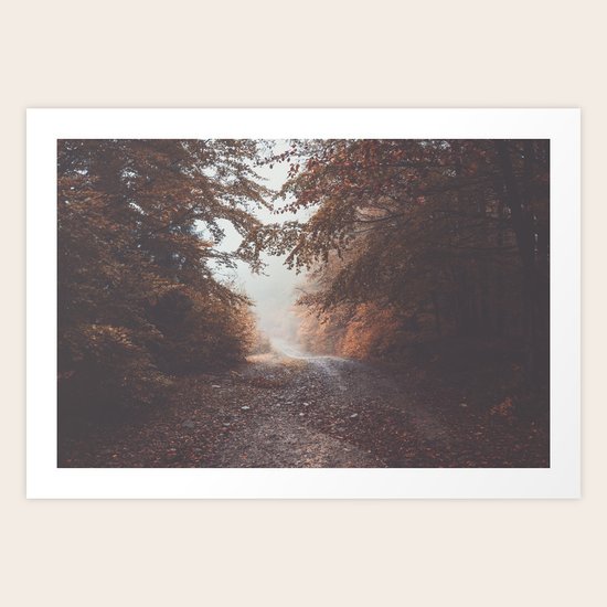 Follow it Art Print