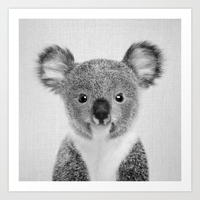 Baby Koala - Black & White Art Print