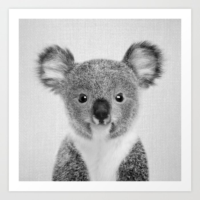 Baby Koala Black Amp White Art Print By Galdesign Society6