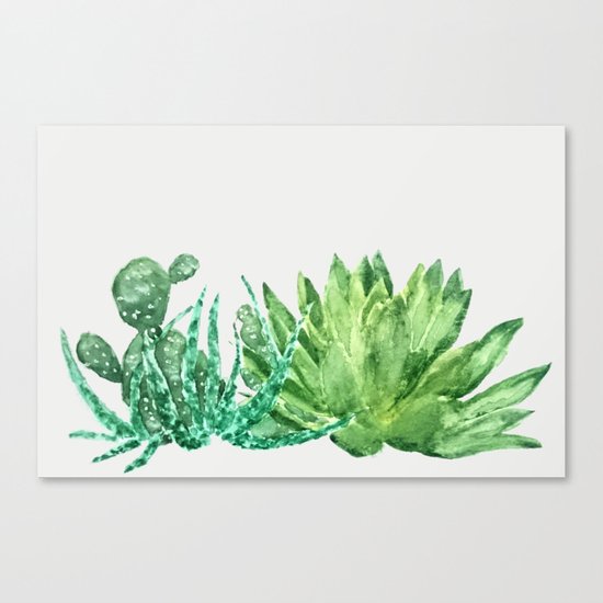 succulents Canvas Print
