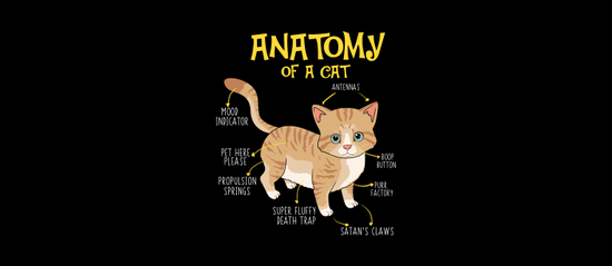 Funny Anatomy Of A Cat Kitten Feline T Shirt Coffee Mug By Pubeast Society6