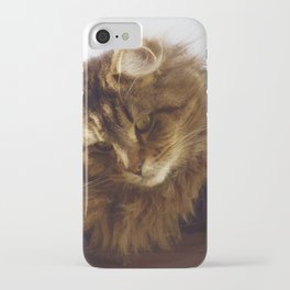 Curious Maine Coon Cat iPhone Case | Mainecooncat, Animal, Fluffycat, Mainecoons, Kittydesigns, Petlovers, Pet, Mainecooncats, Cat, Pets 