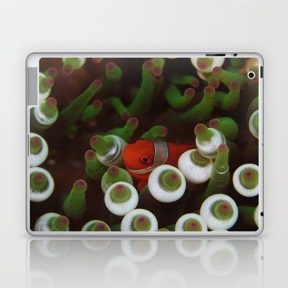 Crimson clownfish hiding Laptop & iPad Skin