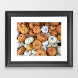Pumpkins Framed Art Print