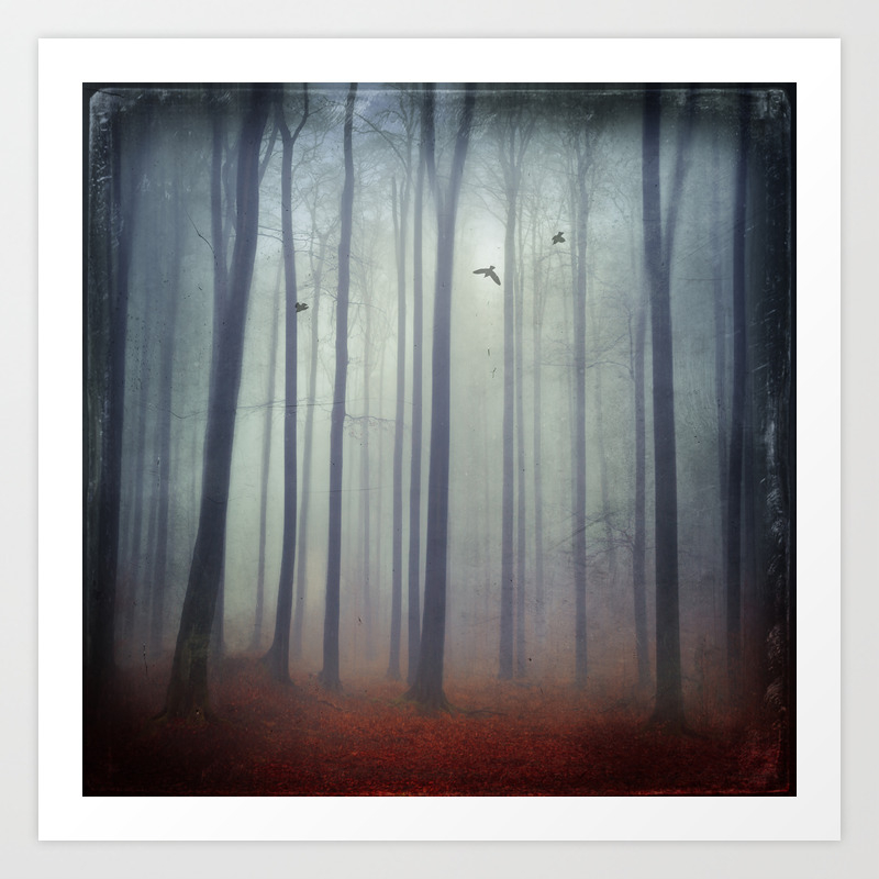 Foggy Forest Art Print By Dirkwuestenhagenimagery Society6 Foggy Forest Art Print By Dirkwuestenhagenimagery Society6