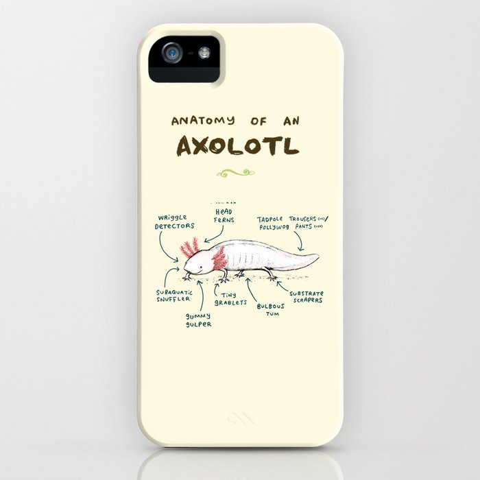 anatomy of an axolotl iphone case