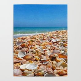 Amazing view of seashells. Poster