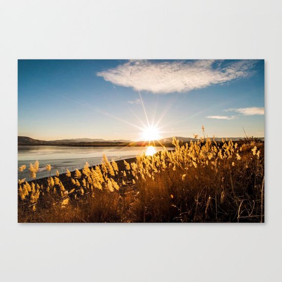 sun Canvas Print