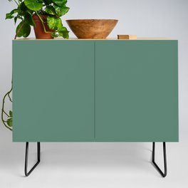 Dark Green Gray Solid Color Pantone Frosty Spruce 18-5622 TCX Shades of Blue-green Hues Credenza