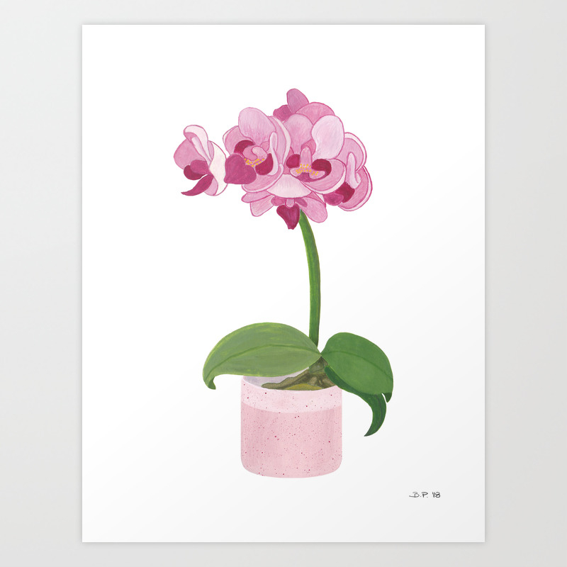Pink Mini Orchid Art Print By Barbarascorner Society6