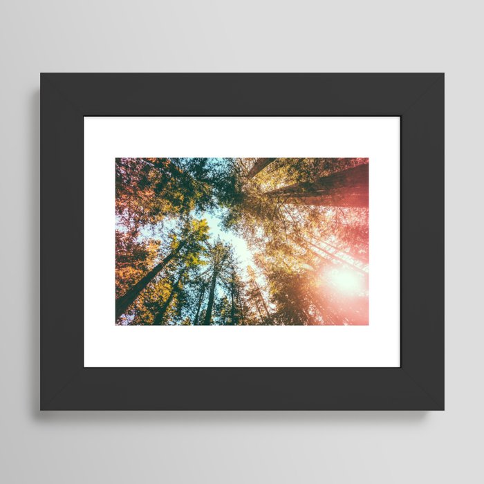 Framed Art Print