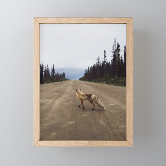 Road Fox Framed Mini Art Print