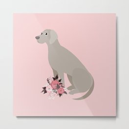 Weimaraner Dog and Flowers Pink Metal Print