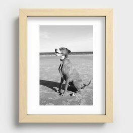 Black and White Dog at the Beach Recessed Framed Print