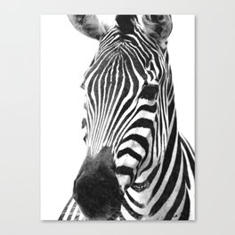 Black and white zebra illustration Canvas Print