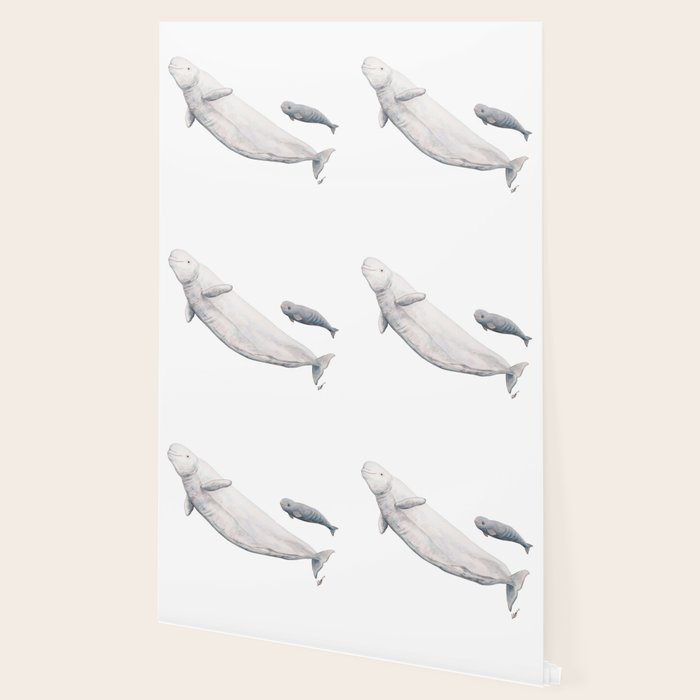Beluga And Baby Beluga Whale Wallpaper By Chloeyzoard Society6 ❤ get the best killer whale wallpaper on wallpaperset. society6