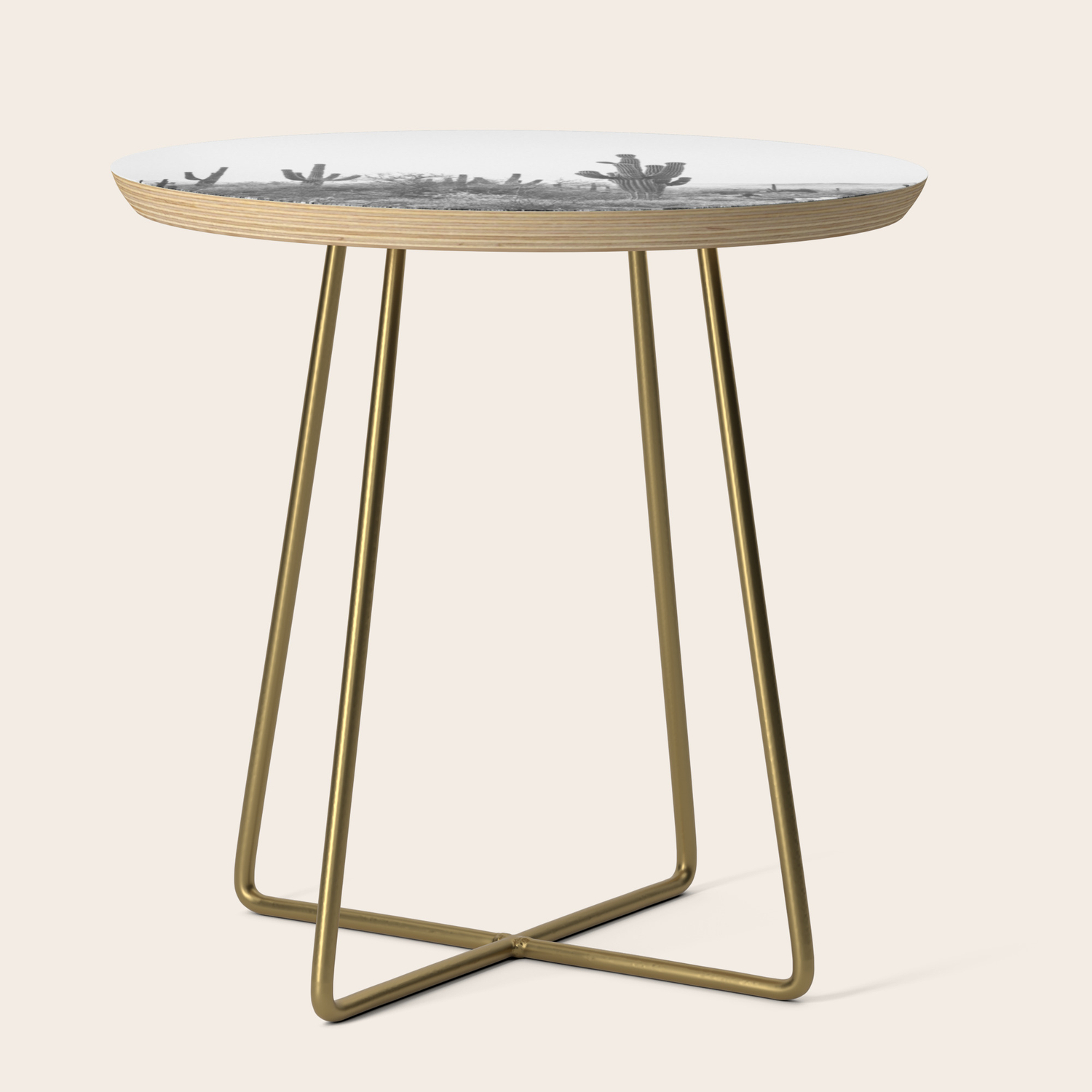 Desert Scottsdale Arizona Side Table By Iiixvi Society6