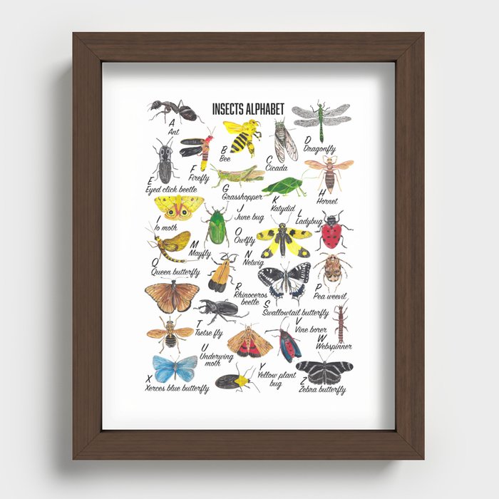 Insects Alphabet Recessed Framed Print