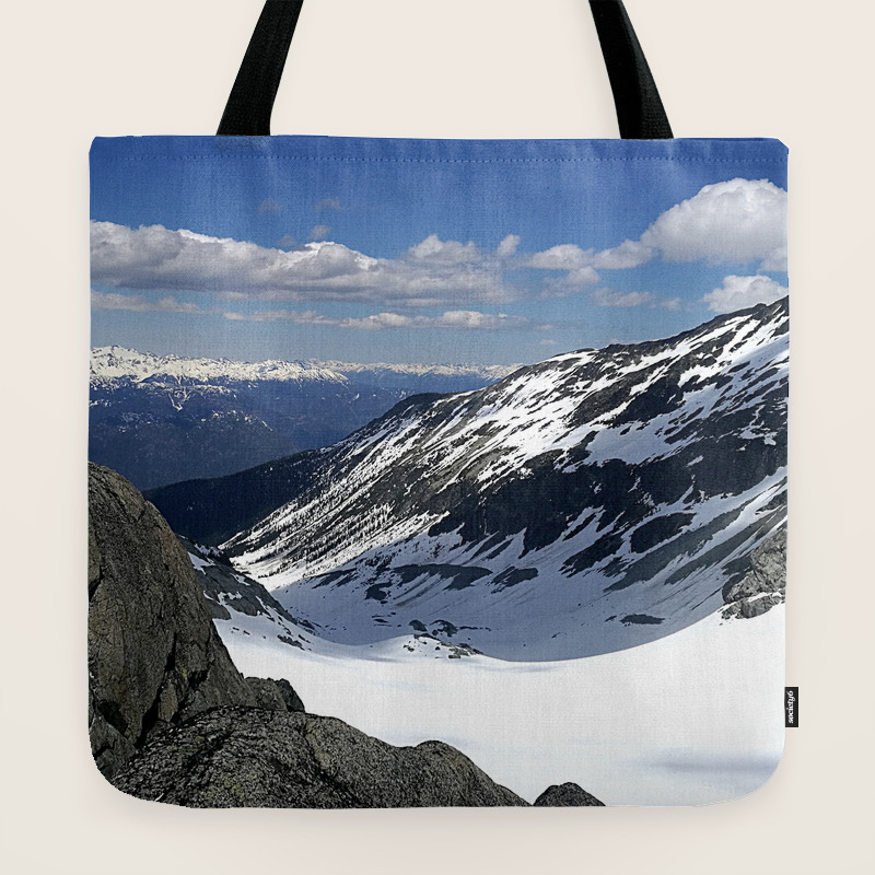 snow and rock luggage