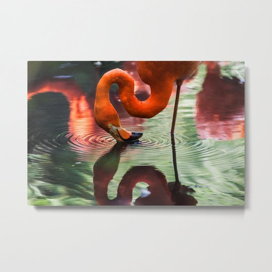 Tropical Flamingo Kiss Metal Print