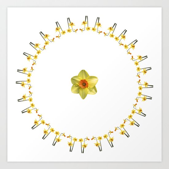 Daffodil Madness Art Print