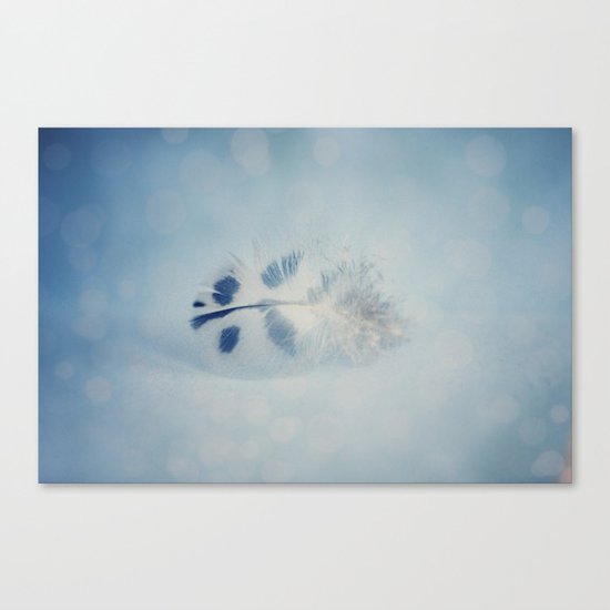 Nature's Treasure Canvas Print