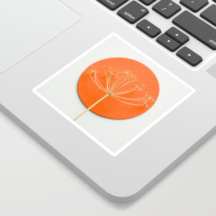 Orange circle and dried flower Sticker