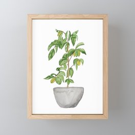 Lemon Tree Framed Mini Art Print