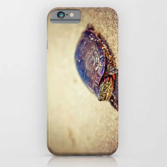 Turtle iPhone & iPod Case