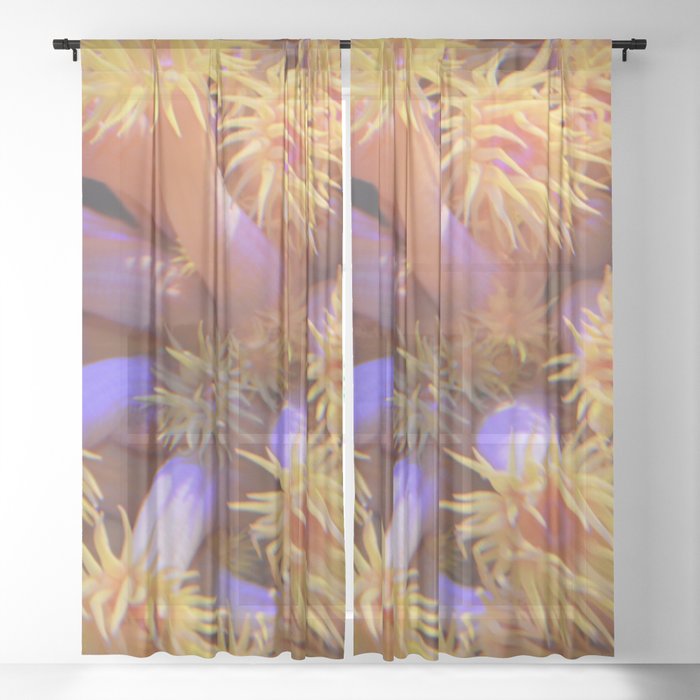 Sea Anemone Sheer Curtain