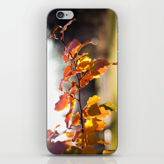 Embers III iPhone Skin