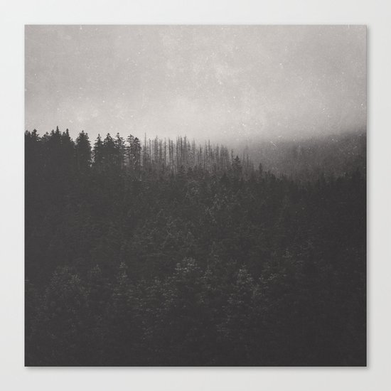 Fade Away Canvas Print