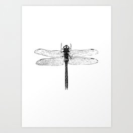 Vintage Dragonfly | Black and White | Art Print