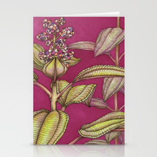 From Puerto Rico: Part 1 Stationery Cards