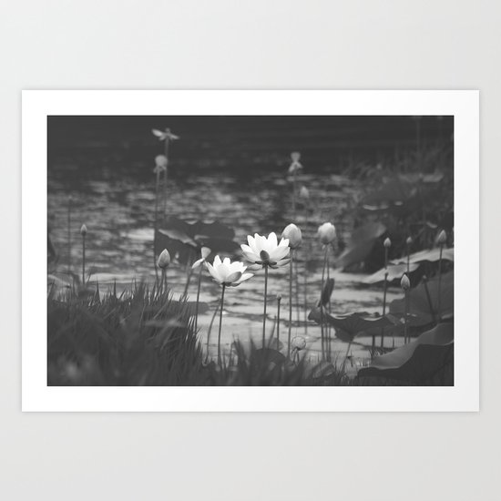 Ecosystem Art Print
