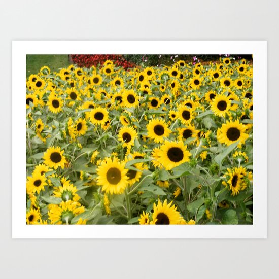 gay flowers or something Art Print
