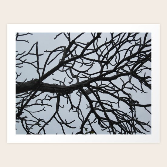 Branching Out Art Print