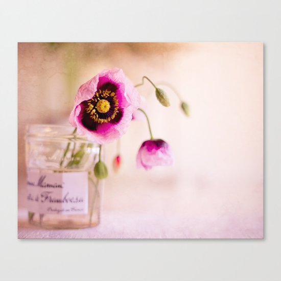 Pink Poppies Canvas Print