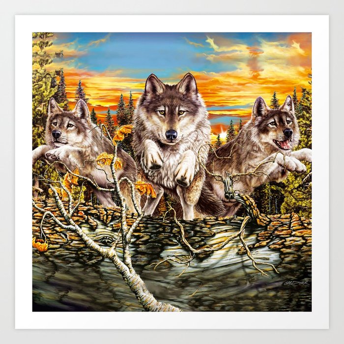 wolf pictures to print out