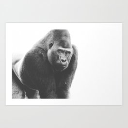 Silverback Gorilla (black + white) Art Print