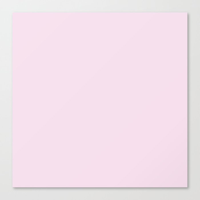 Pink Sugar Canvas Print