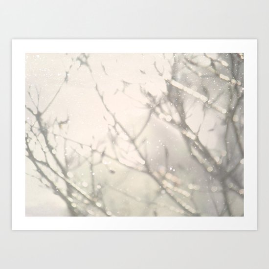 Winter Light Art Print