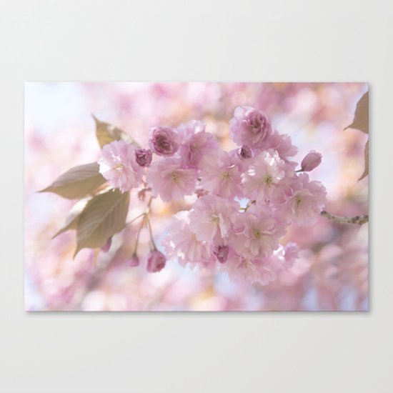 Pink Spring Cherryblossoms on #Society6 Canvas Print