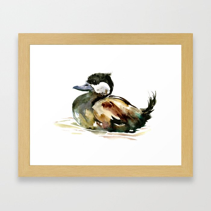 Ruddy Duck, duck children illustration, cute duck artwork Framed Art Print