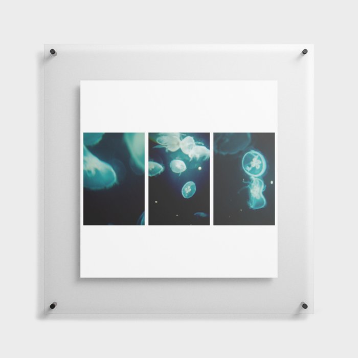 Jellyfish Floating Acrylic Print