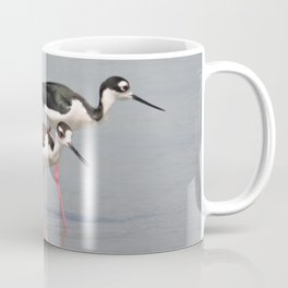 Black-necked Stilts Browsing Coffee Mug
