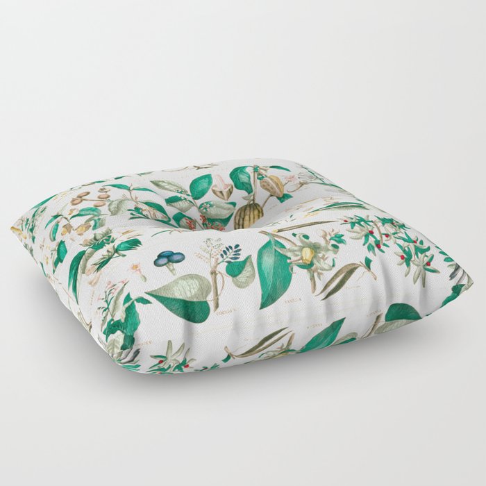 Digitally enhanced School and family charts, No. XXII. Botanical: economical uses of plants  Floor Pillow