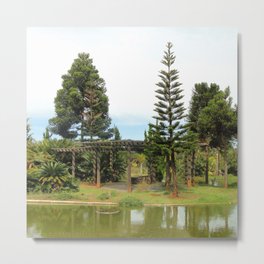 Brazil Photography - Botanical Garden In Brasilia Metal Print
